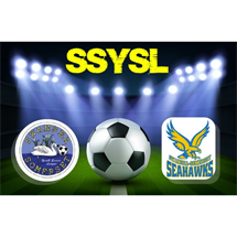 Swansea Somerset Youth Soccer League